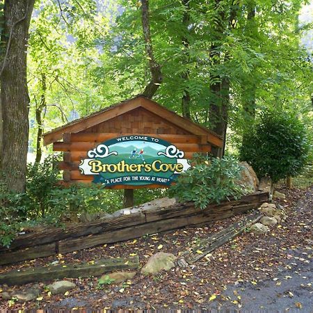 Bear Crossing #6 Villa Sevierville Exterior photo